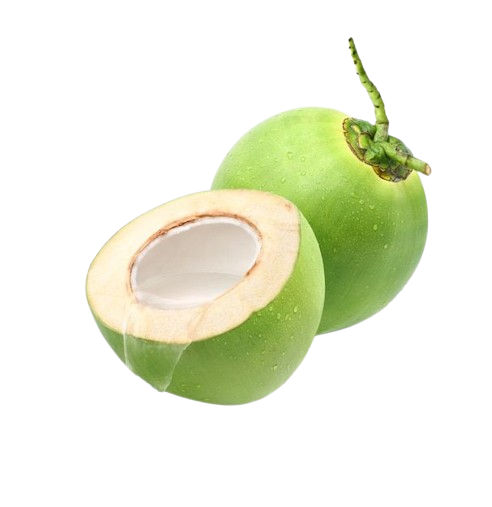 Coconut ( 2 Piece)